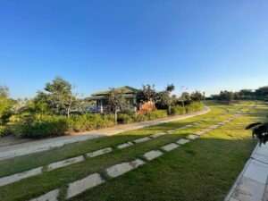 The Ampelon - Luxury Resort Plots & Homes in Chikkaballapur, North Bangalore8